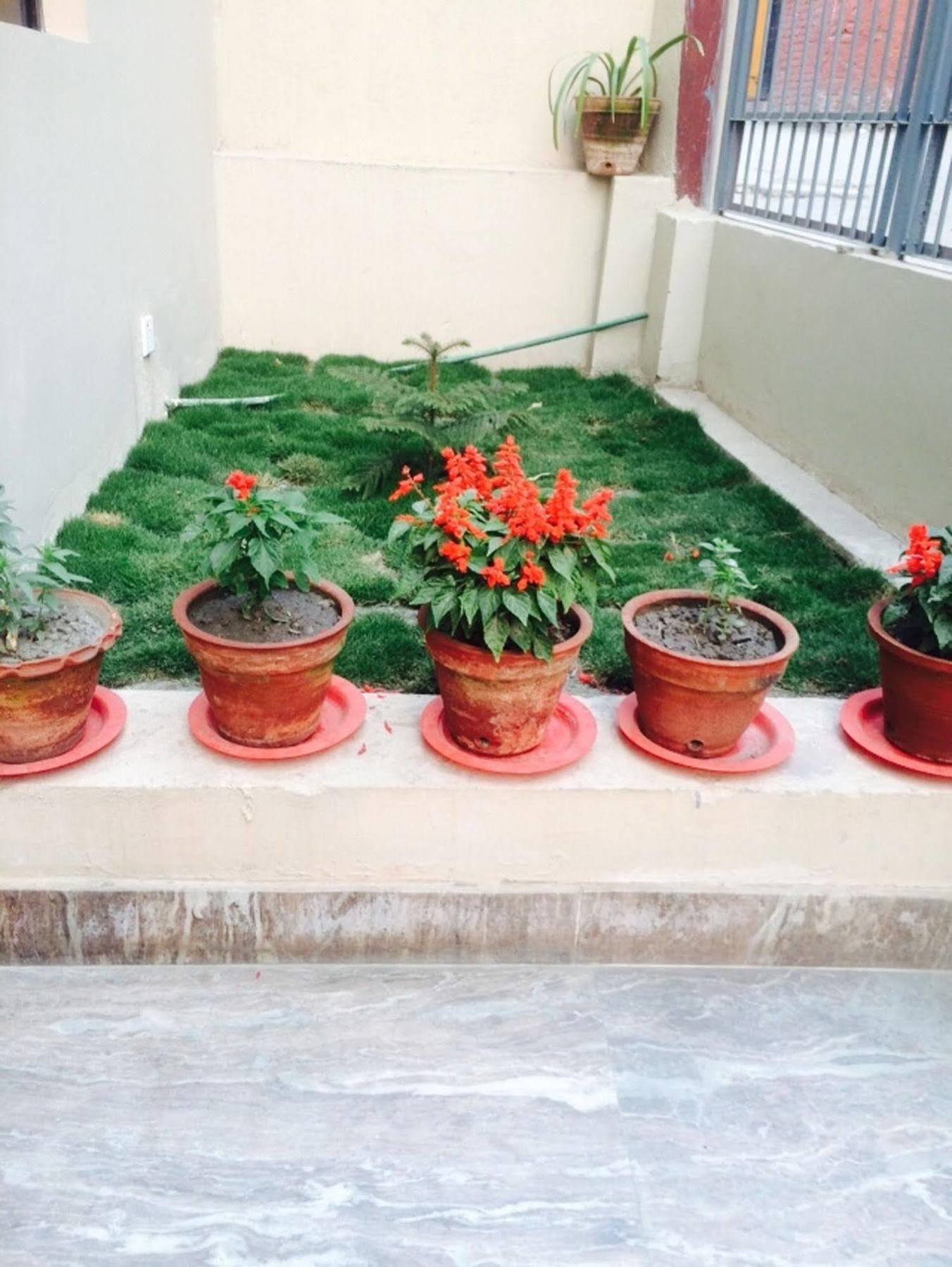 Kathmandu Sunny Hotel Ngoại thất bức ảnh